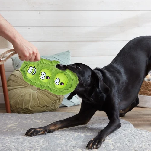 Pet Dog Snack Hiding Toys