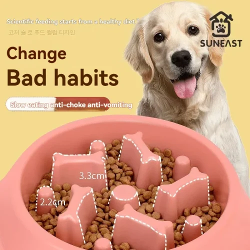 Pet Food Bowl, Environmentally Friendly