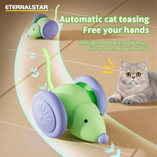 Interactive Cat Toy Electric Mouse Car.