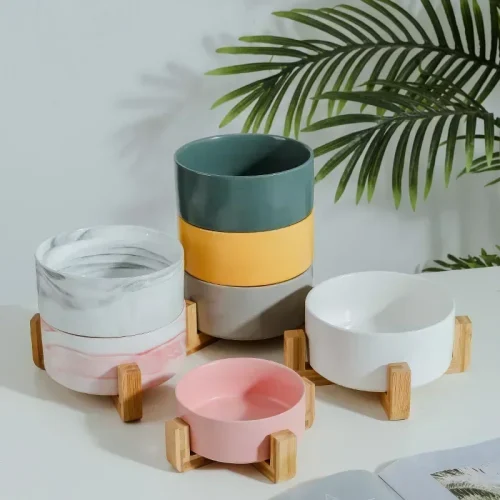 Ceramic  Cat Dog Bowl.