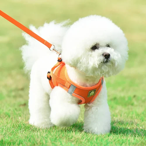 Dog Chest Harnesses, Soft Mesh Fabric.