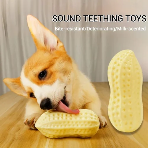 TPR Simulation Peanut Sound Toy Vegetable.
