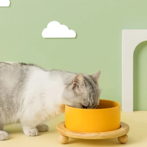 400/850ml Cat  Bowl. Dogs  Bowl.